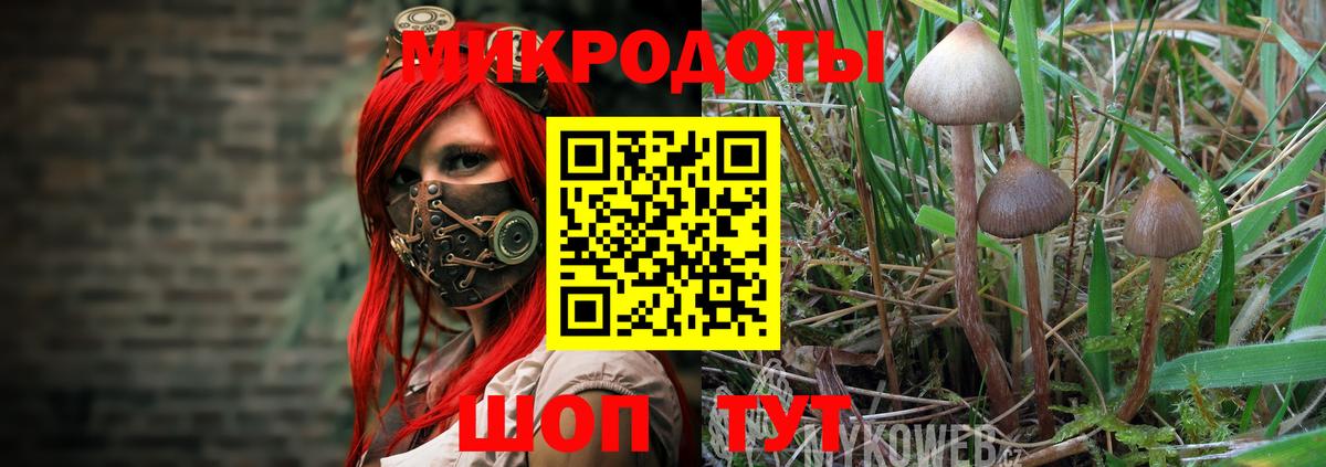 Шелехов  Псилоцибиновые грибы Magic Shrooms  Псилоцибиновые грибы прущие грибы  Вход с VPN 