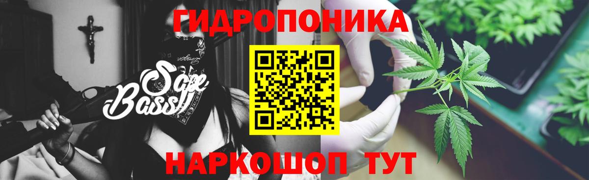 Шелехов  Бошки марихуана тримм  Вход с VPN  Канабис AK-47  Каннабис индика  Каннабис план 